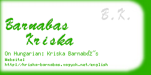 barnabas kriska business card